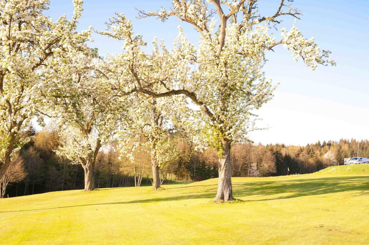 Hotel Topfit-Freizeitpark Freinberg Esterno foto